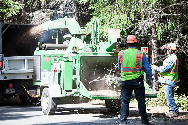 Best Lot and Land Clearing  in Houston, TX